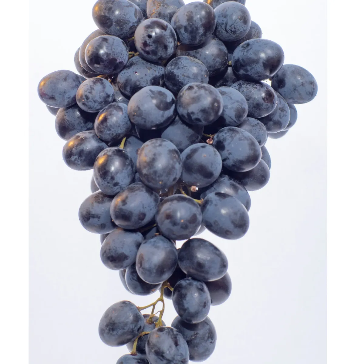 Golden Raisins (Kishmish)