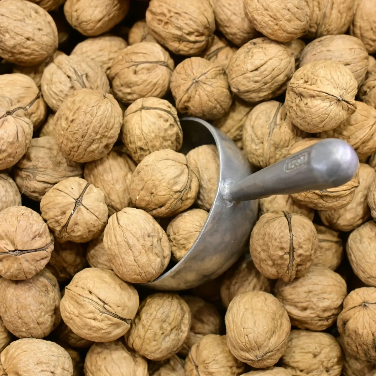 Tajik Walnuts