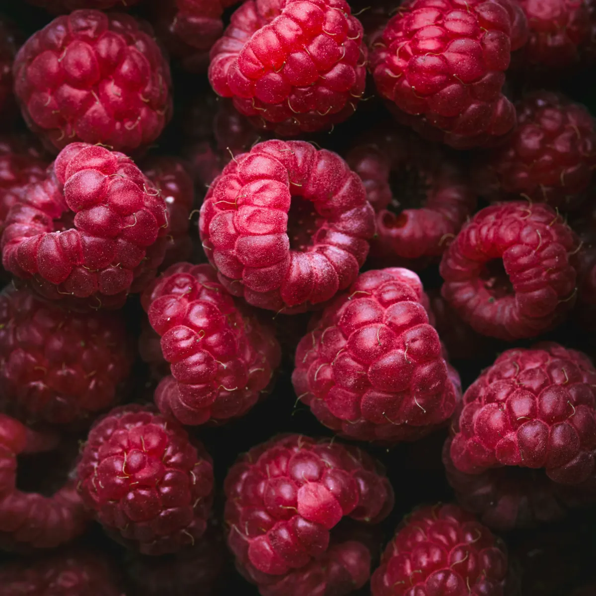 Barberries (Zereshk)